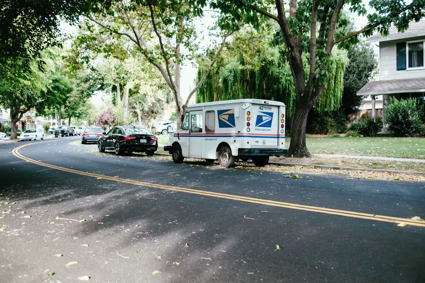 A delivery van parked on a tree-lined suburban street