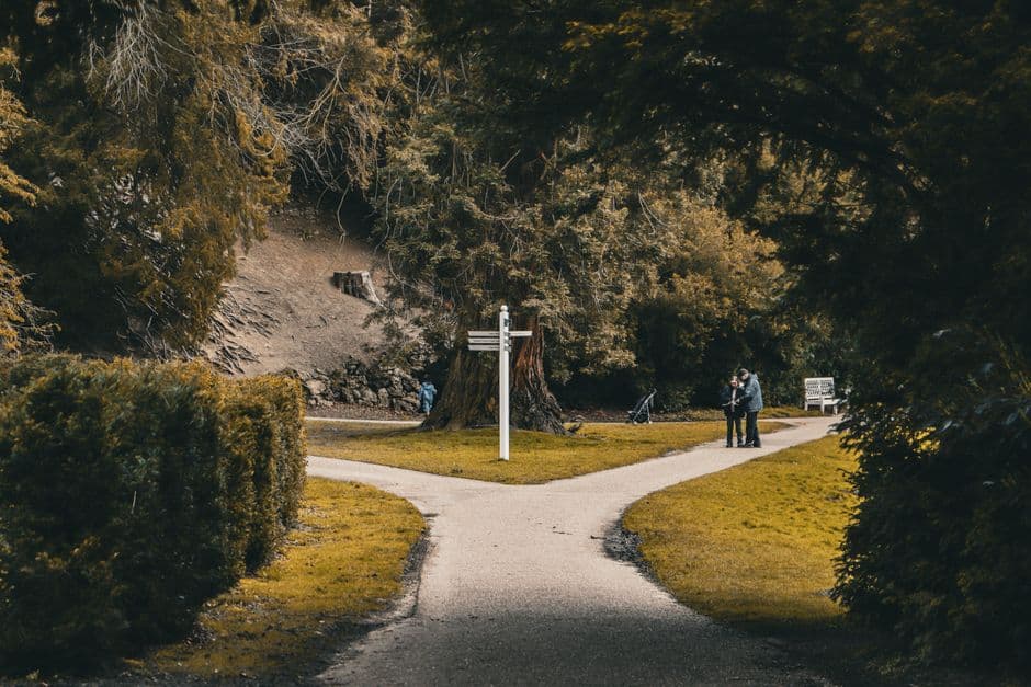 A park path forking into two directions beside a signpost